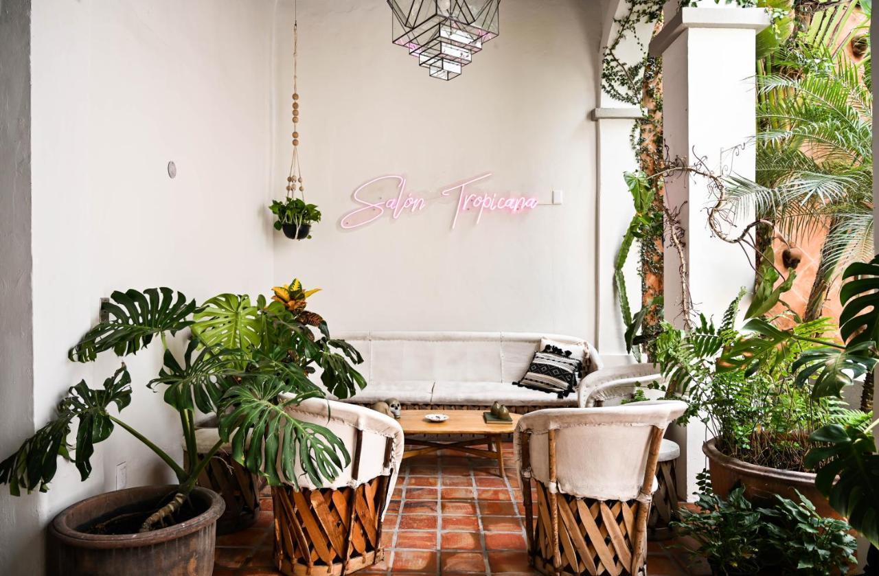 Hotel Casa Blanco By Barrio Mexico Guadalajara Zewnętrze zdjęcie
